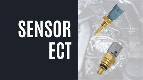 Sensor Ect lihat support android terkini dapatkan hari ini image 3